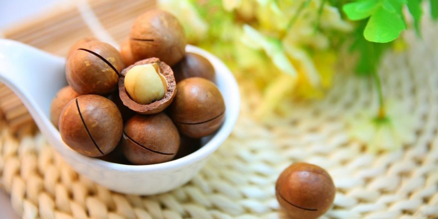 macadamia-nuts-1098170_1280
