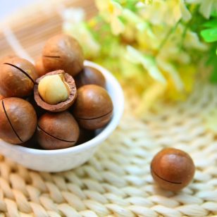 macadamia-nuts-1098170_1280